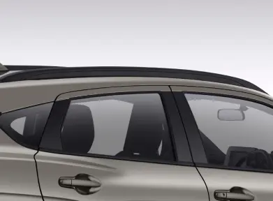 Roof Rail Black (GL Only)