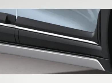 BODY SIDE MOULDING (GARNISH INSERT)