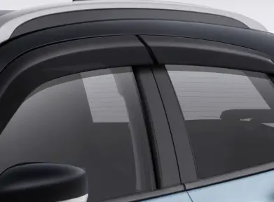 VISOR SET, SIDE DOOR