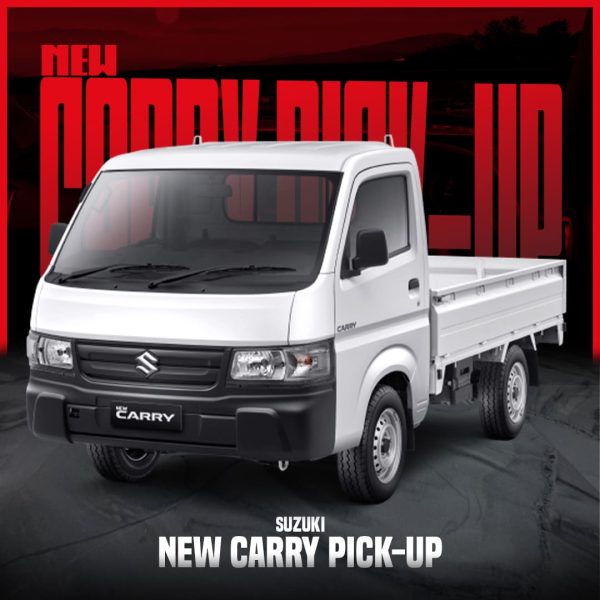 New Carry Pick-Up